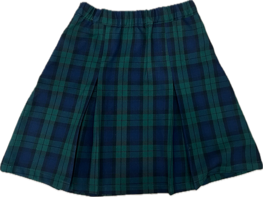Simple Pleat Skirt - Navy/Green Plaid